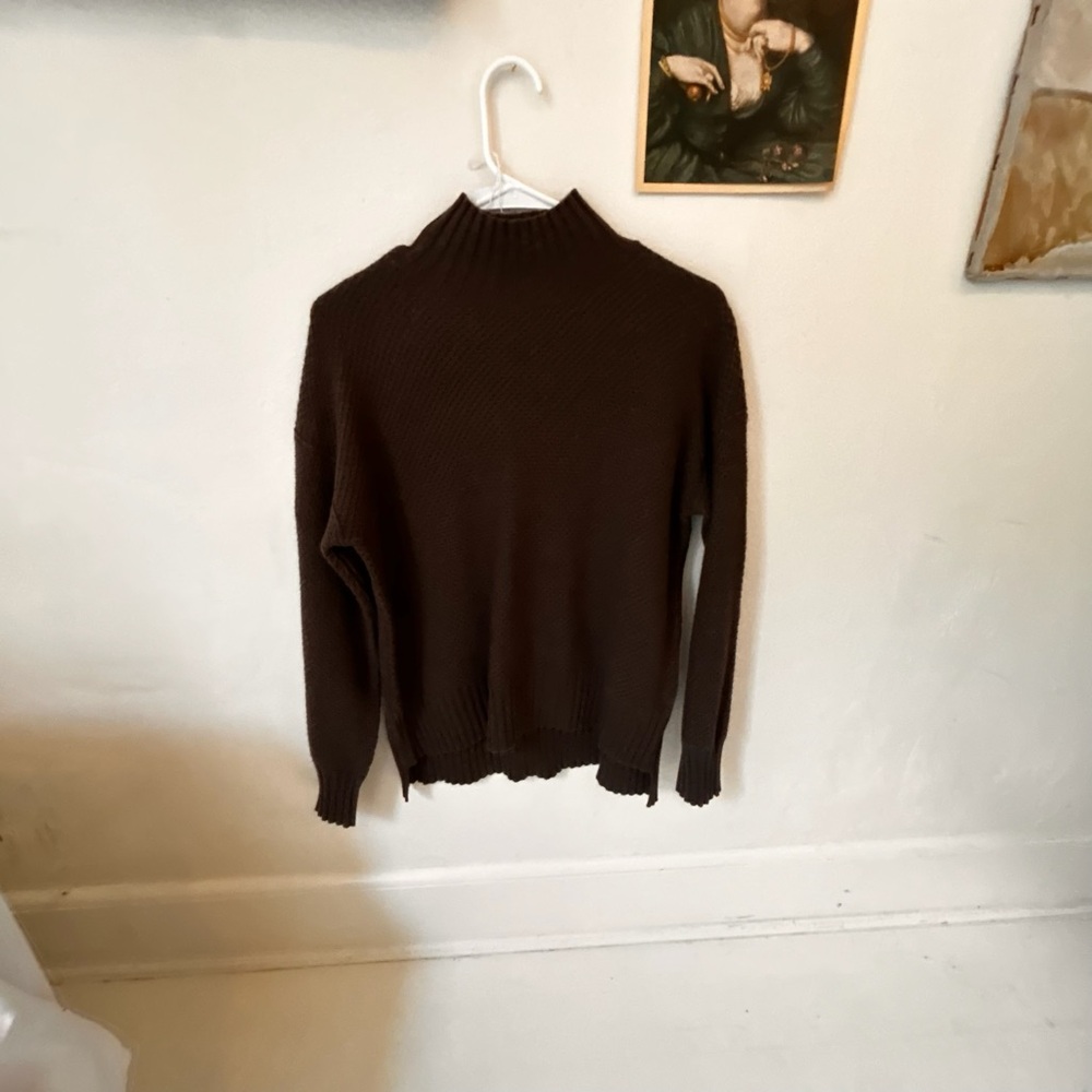 EVERLANE Brown Turtleneck cashmere chocolate Sweater - tiny flaw